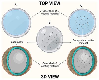 Natural sources and encapsulating materials for probiotics delivery systems: Recent applications and challenges in functional food development